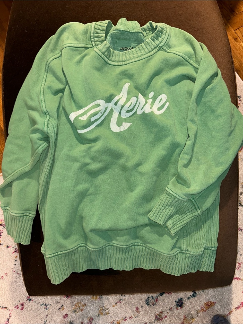 aerie Mint Green Crewneck Sweatshirt